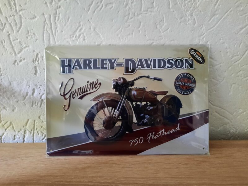 Harley-Davidson Genuine 750 flathead