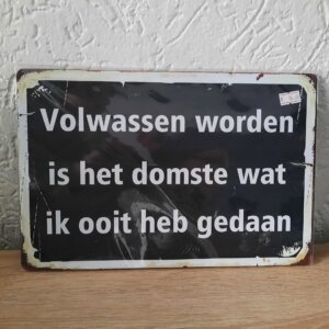 Volwassen worden is het domste wat ik ooit heb gedaan