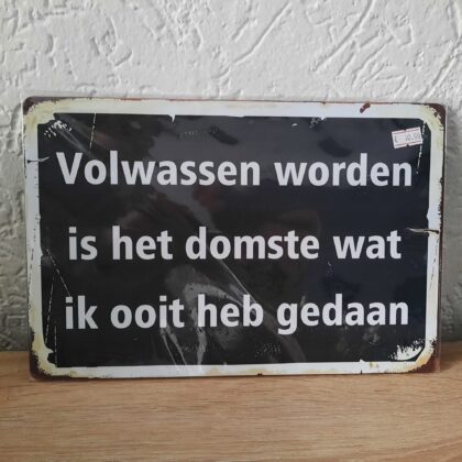 Volwassen worden is het domste wat ik ooit heb gedaan